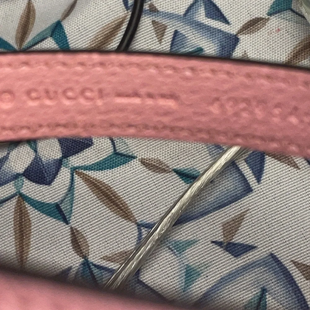 New Gucci dog leash/harness